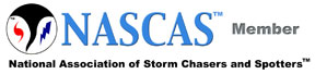 Description: nascaslogosmall3